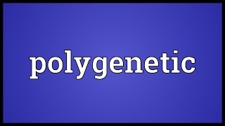 Polygenetic Meaning [upl. by Amlev]