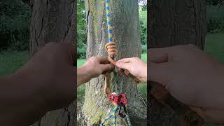 VT friction hitch  Arborist knots [upl. by Rozella]