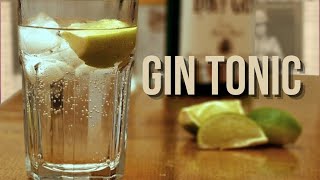 Lassurda STORIA del GIN TONIC Perù malaria e colonialismo [upl. by Karrie]