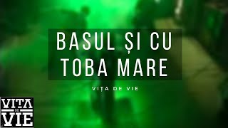 Vita de Vie  Basul si cu Toba Mare  Videoclip OFICIAL [upl. by Tupler]