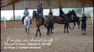 JAI PRIS UN CHEVAL EN DP   GALOP A FAUX  Dressage à 10h40  Etrier Cherbourgeois [upl. by Birdie362]