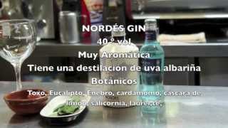 Como preparar un gin tonic de Nordés [upl. by Ianahs]