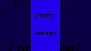 How to pronounce quotpredatorquot in American English americanpronounce howtopronounce learnenglish [upl. by Mikiso135]