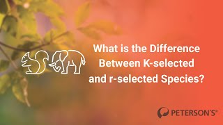 In About a Minute What is the Difference Between Kselected and rselected Species [upl. by Garlen]