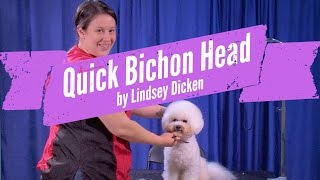 Bichon Head Grooming Demo by Lindsey Dicken [upl. by Codie]