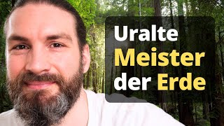 Baumgeister Die Macht aus dem Wald [upl. by Inesita]