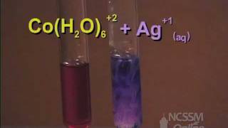 Cobalt Complex Ion Equilibrium  LeChateliers Principle Lab Part 3 [upl. by Turino518]