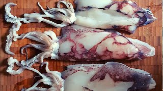 Encornets à la provençale  Provencalstyle squid [upl. by Eimoan]