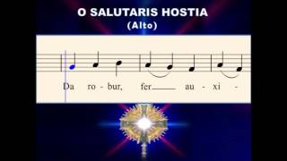 O28b O Salutaris Hostia Alto  for OLMGrand Choir [upl. by Jentoft143]