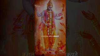 Lord vishnu  Experience Divine power of Vishnu strotam 🛐😍🔥 Namami shamisham  Rudrashtakam [upl. by Guevara701]