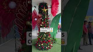 CHRISTMAS IS COMING short trending shortvideo [upl. by Ira]