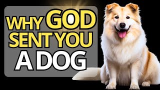 🐶 Why Did GOD Put A DOG In Your LIFE FIND OUT HERE 🐾 [upl. by Wayne]