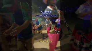 Palomino NightLife  Colombia 2024 [upl. by Brantley74]