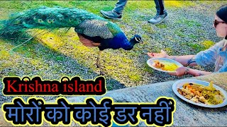 vlog  Beautiful Krishna island  mor 🦚 ko koi dar nahi  uk krishna ram bhandara hindutemple [upl. by Seely409]