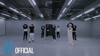 Stray Kids quot땡FREEZEquot Dance Practice Video [upl. by Wilbur]