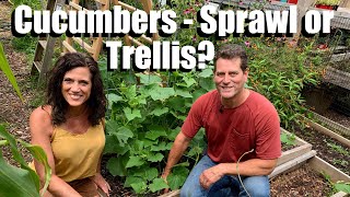 Growing Cucumbers 2 Ways  Let ‘Em Sprawl or Trellis amp Easy Trellis Ideas  Gardening Coast2Coast [upl. by Merla]