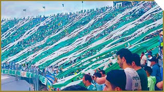 TORCIDA DO PALMEIRAS NA FINAL DA LIBERTADORES 2021 [upl. by Shoemaker]