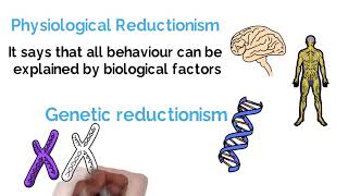 Reductionism vs Holism Psychology Debate Explained Alevel [upl. by Gasperoni]