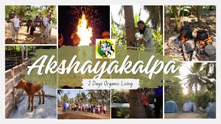 2024  Stay in AkshayaKalpa Organic Farm  Camping  Food  Rs1500 [upl. by Oicirbaf]