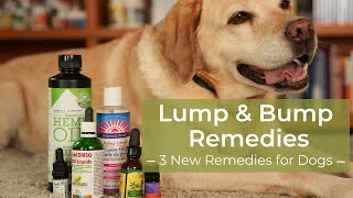 Dog Lump and Bump Home Remedies [upl. by Epotimet]