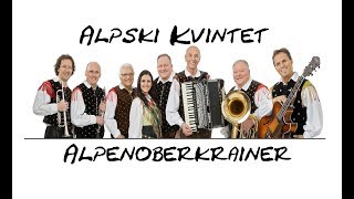 Alpski Kvintet  Medley  Alpenoberkrainer [upl. by Paddie]