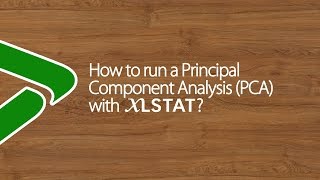 How to run a Principal Component Analysis PCA with XLSTAT [upl. by Narton]