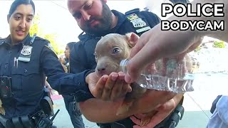 When Police Heroes Save Dogs from Cruelty [upl. by Lashondra]