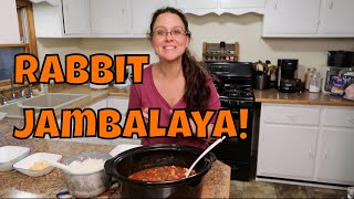 Rabbit Jambalaya Cooking with Rabbit Meat [upl. by Arrec396]