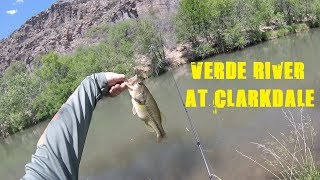 Verde River Fishing at Clarkdale [upl. by Ariad]