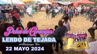 Gracejada en Lerdo de Tejada Ver 2024 1 Pelea y Desde la Colonia Libertad el Grupo Leal [upl. by Haliak720]