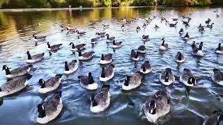 Water Lake ￼at River Cole [upl. by Ekram]