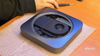 Apple MacMini 2018 Arbeitsspeicher aufrüsten Tutorial [upl. by Ynnol]