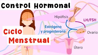 Control hormonal del ciclo menstrual Eje hipotálamohipófisisgónada [upl. by Norda]