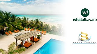 Hotel Whala Bavaro  Punta Cana [upl. by Patten]