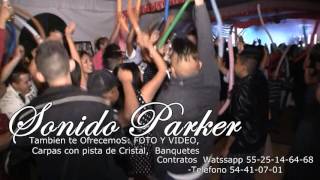 muestra de SONIDO PARKER INFINITY ambiente familiar ELETRO MIX Martin Garrix Jay Hardway [upl. by Hesther]