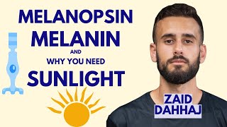 How Sunlight Helps you Lose Weight  Zaid KDahhaj [upl. by Ained]