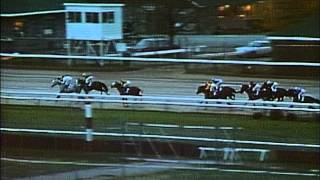 1988 Breeders Cup Classic [upl. by Ynner]