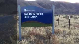 Jackson Creek Fish Camp  Grant County Public Utility District [upl. by Cirded]