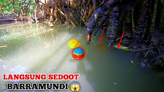 TERLIHAT JELAS PELAMPUNG TURU LANGSUNG DI SAMBAR BARRAMUNDI 😱BARRAMUNDI FISHING CATCH AND COOK [upl. by Adekram757]