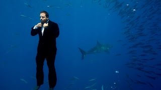 Swimming with Sharks  David Blaine [upl. by Indihar939]