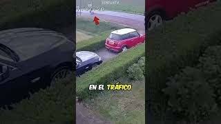 Vecino Salva a Camionero en Problemas [upl. by Kassia974]