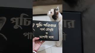 Gift Love পুচি পরিবারের এক বছর পূর্তি উপলক্ষে পাওয়া শ্রেষ্ঠ উপহার ছিলো এটা [upl. by Mahau539]