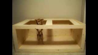 HOW TO build a Plywood Aquarium TUTORIAL [upl. by Meilen]