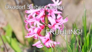 Frühling im Ökodorf Sieben Linden [upl. by Iarised]