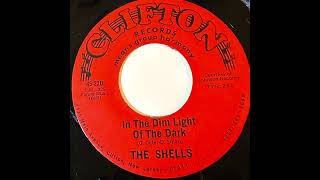 THE SHELLS IN THE DIM LIGHT OF THE DARK 1977 [upl. by Akinaj]