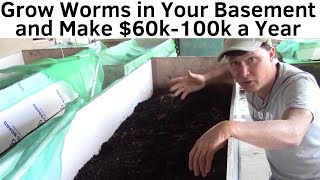 Make 60K100K a Year By Growing Worms in Your Basement [upl. by Jessalin]