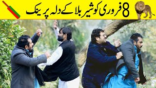 8 February shair ya bala prank  Velle Loog Khan Ali  Sahara Bano Khan Ali [upl. by Hollinger998]