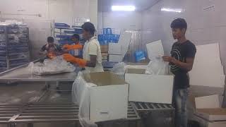 Everest seafoods pvt ltd Video [upl. by Dorion]