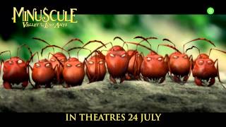 Minuscule Valley of the Lost Ants 2013 1080p  Robaczki z zaginionej doliny [upl. by Eciuqram]