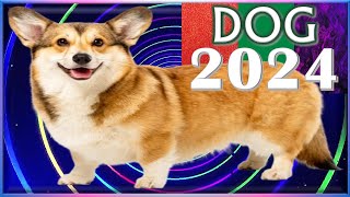 Dog Horoscope 2024 ✩ Born 2018 2006 1994 1982 1970 1958 1946 1934 [upl. by Harmony]